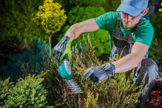 landscaping services East Nassau